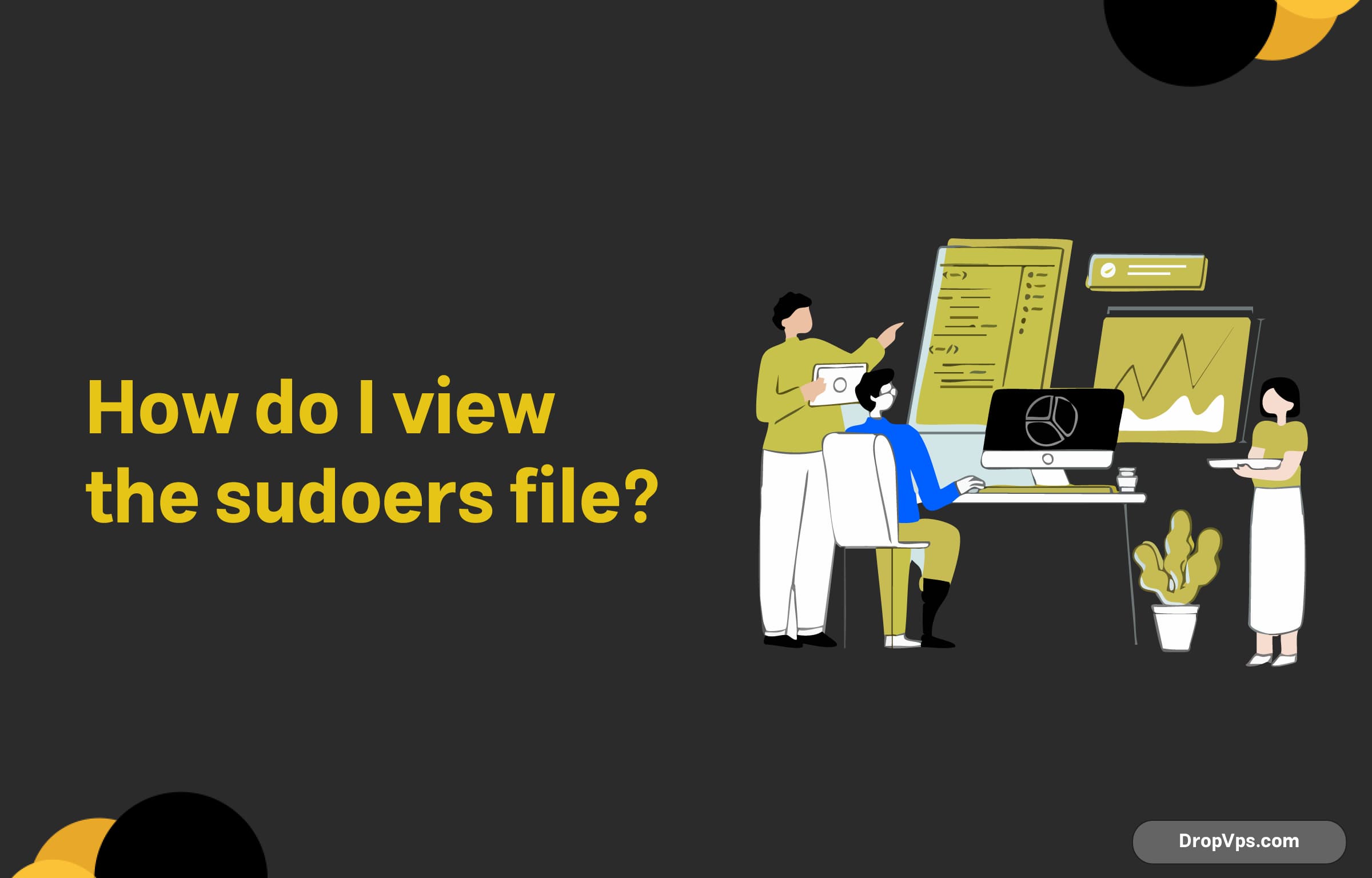How do I view the sudoers file?