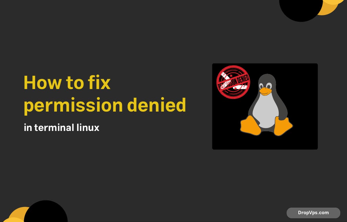 how to fix permission denied in terminal linux