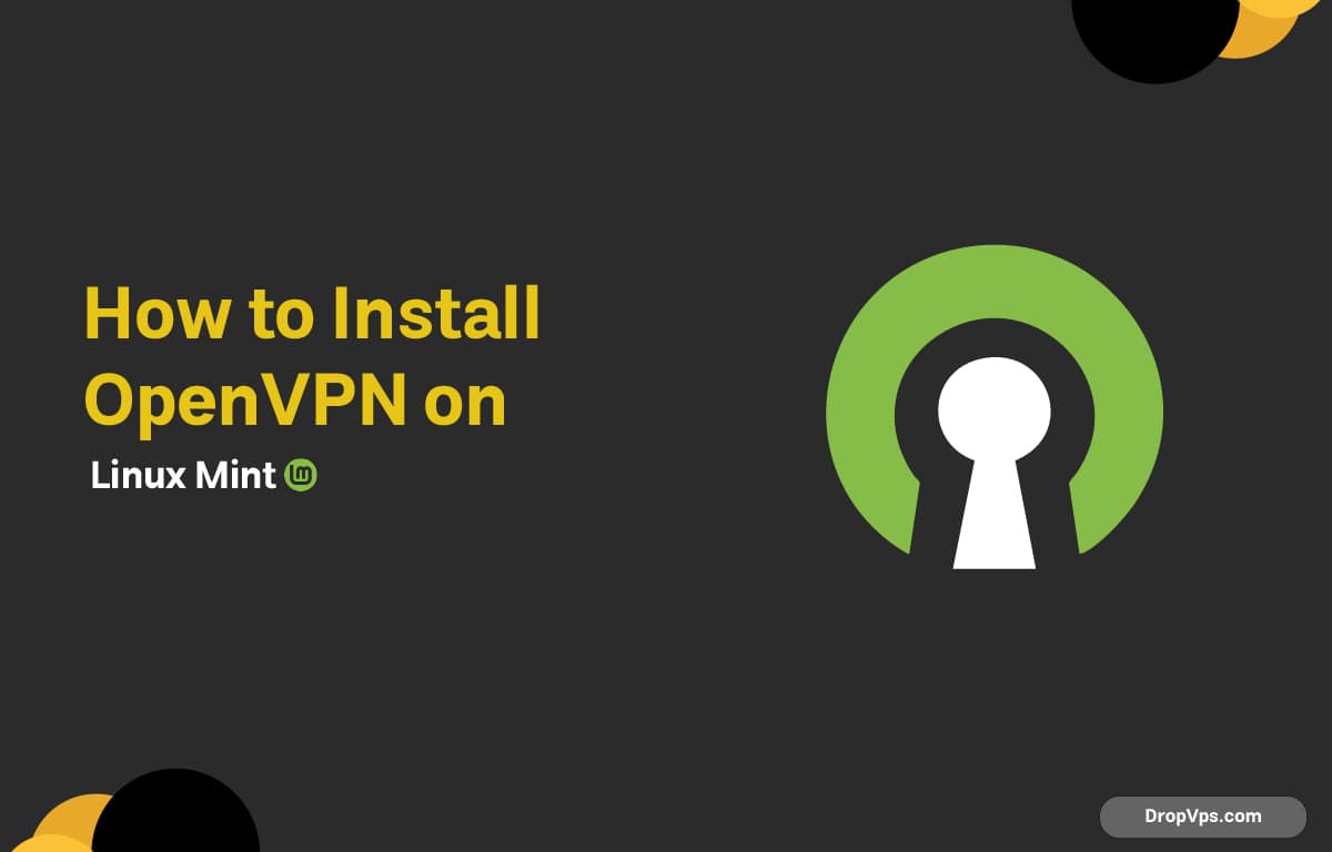 How to Install OpenVPN on Linux Mint