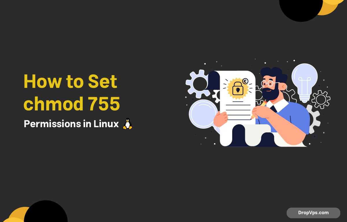 How to Set chmod 755 Permissions in Linux
